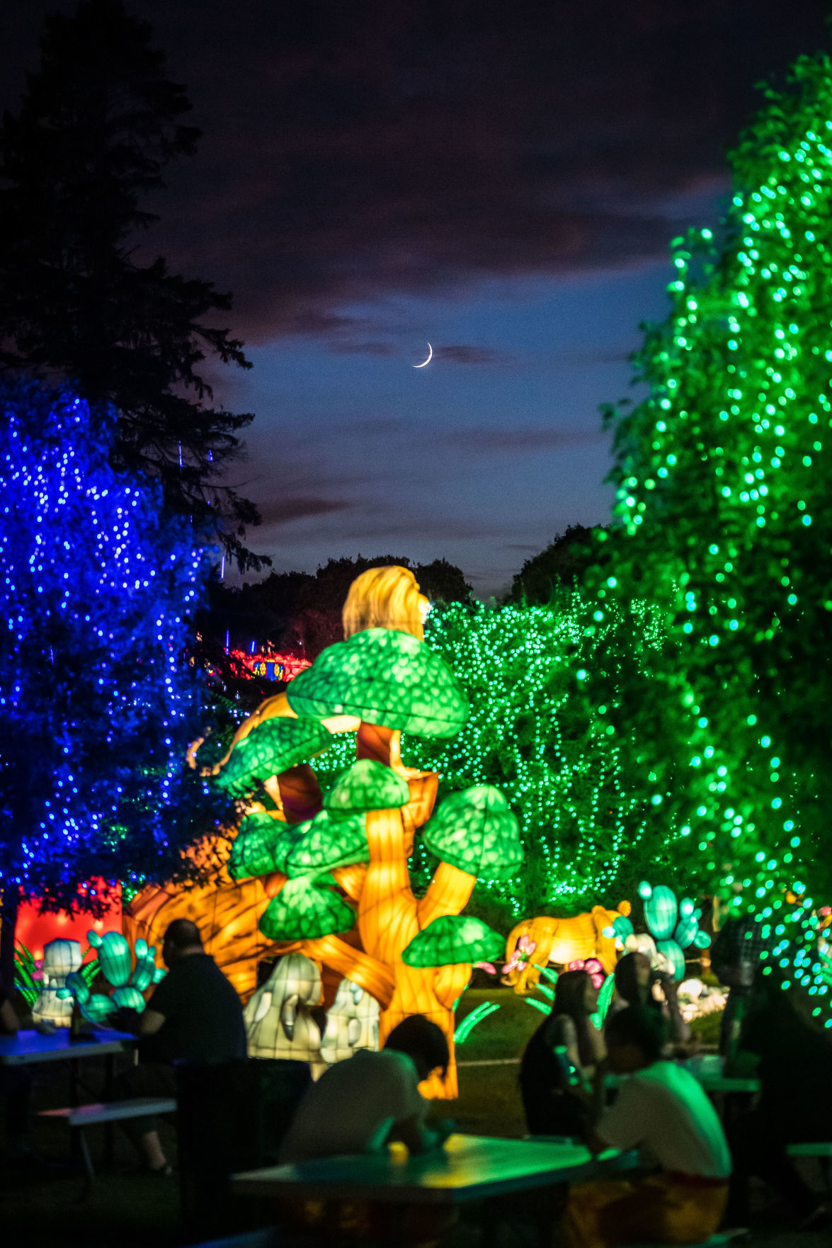 Lantern Festival